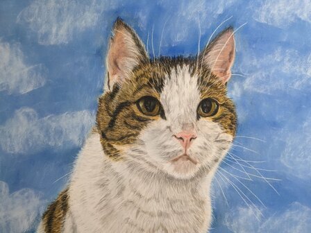 Pastel portret van jouw huisdier 20 x 30cm 