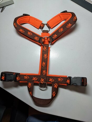 Y-harness size S (51-60cm)