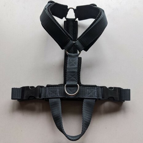 Y-harness size M (61-70cm)