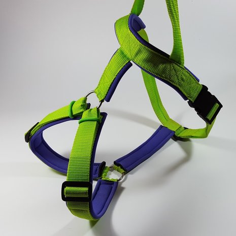 Y-harness size M (61-70cm)