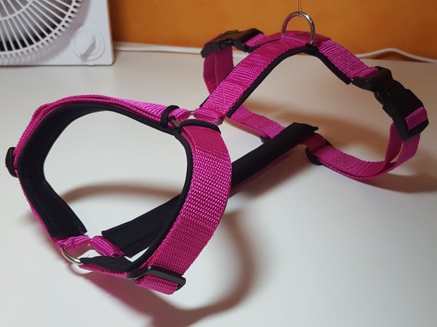 Y-harness size S (51-60cm)