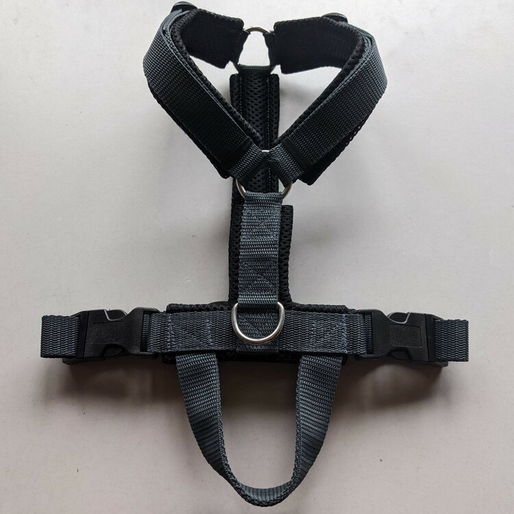 Y-harness size XXL (91-...cm)