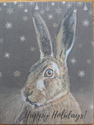 Kerstkaarten wildlife