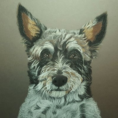 Pastel portrait of your pet 20 x 30cm
